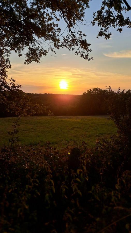 Brigueuil-le-Chantre Chez Nous Bed & Breakfast エクステリア 写真