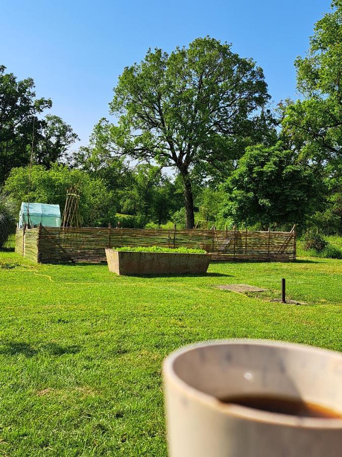 Brigueuil-le-Chantre Chez Nous Bed & Breakfast エクステリア 写真