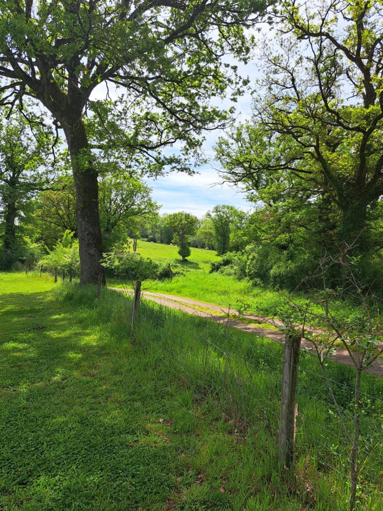 Brigueuil-le-Chantre Chez Nous Bed & Breakfast エクステリア 写真